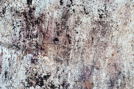 Old grunge background. Texture of wooden board with peeling paint.