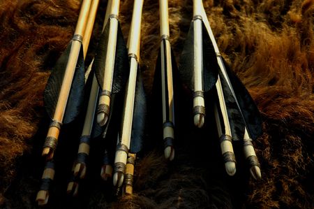 Traditional wooden arrows on a bison hideの写真素材