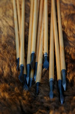 Traditional wooden arrows on a bison hideの写真素材
