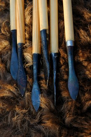 Traditional wooden arrows on a bison hideの写真素材