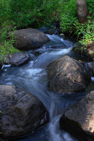 A smaal creek in the middle of the forest in Oulanka National Park, Finlandの写真素材