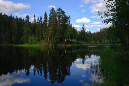 Bridge over the water in the forestの写真素材