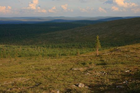 Lanscape from Lemmenjoki National Park, Finnish Laplandの写真素材