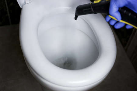 Cleaning and disinfection of the toilet with hot steam. professional cleaning process