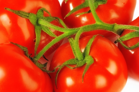 Tomatoes large, on a branchの写真素材
