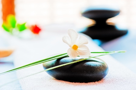 Still life with a black stone and a flower in the style of zen-likeの写真素材