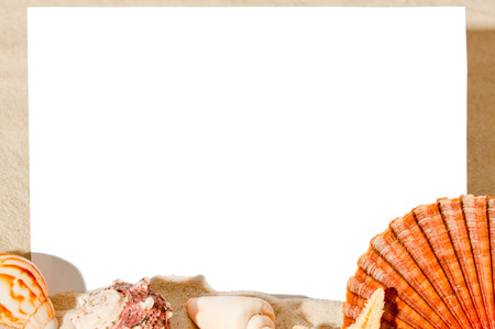 white sheet of paper for notes and marine animals in the sandの写真素材