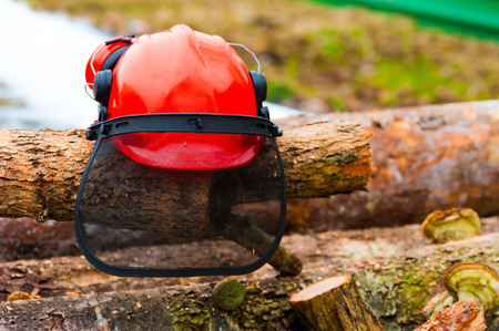 protective helmet lying on the logs in the forestの写真素材