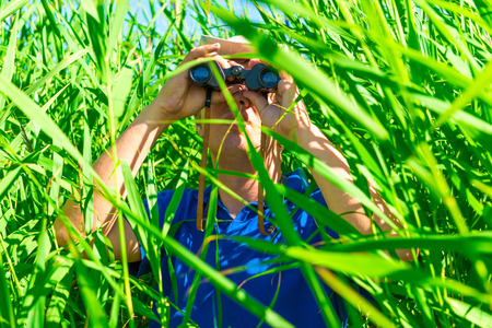 tucked away in the reeds hunter in ambushの写真素材