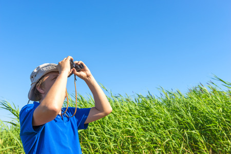 man looks for through the reeds with binocularsの写真素材