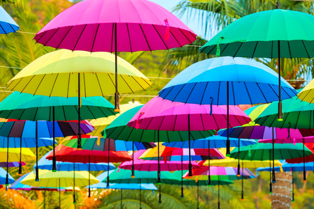 beautiful multi-colored umbrellas on a sunny dayの写真素材
