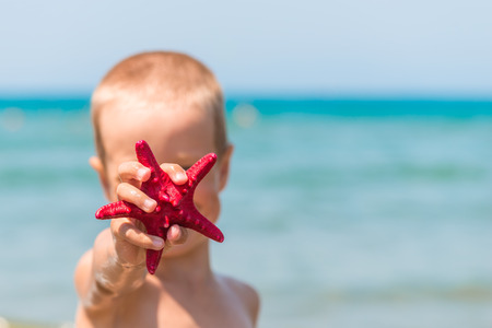 little boy is showing a red starfish near the seaの写真素材
