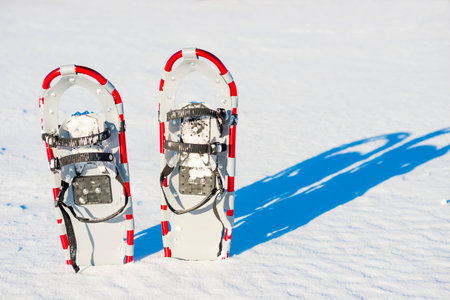 snowshoes stuck in the snow and plenty of natural lightの写真素材
