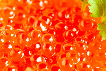 grains red Siberian salmon caviar close-upの写真素材