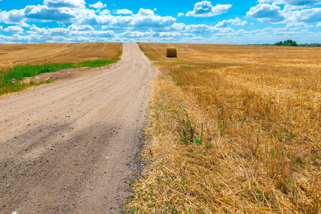 bundle dried grass in the mown field in summer dayの写真素材