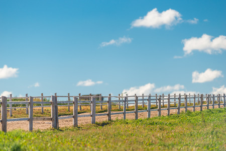 corral for walking of animals and green field