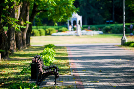 City park with a walkway and sunlightの写真素材