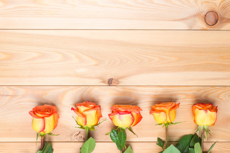 tea roses and wood background with copy spaceの写真素材