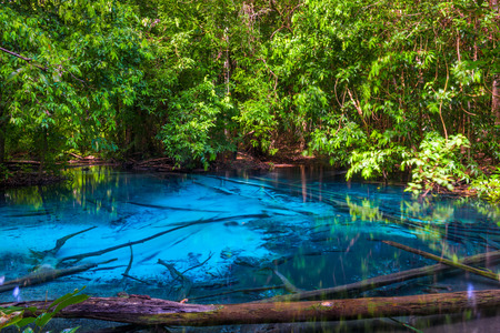 Beautiful blue lake in Krabi nature reserve, Thailandの写真素材