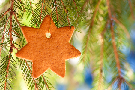 close-up of a ginger star suspended on a branch of fir in the forestの写真素材