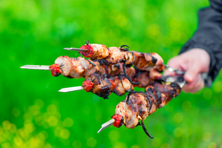 Prepare delicious pork kebab skewers in hand on a background of green grassの写真素材