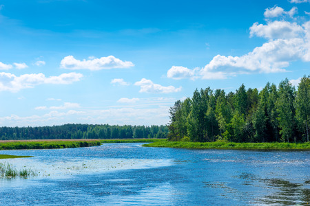 beautiful scenery on a sunny day - a river in the countrysideの写真素材
