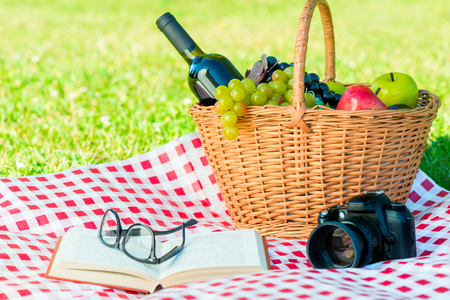 a picnic basket with food and alcohol, a book and a camera on a checkered tablecloth in the parkの写真素材