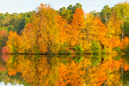 Beautiful bright autumn forest by the picturesque lakeの写真素材