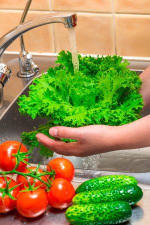 woman washing green salad under running water in the kitchenの写真素材