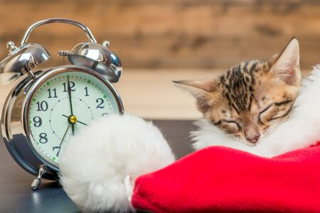 the kitten sleeps in Santa's hat next to the alarm clockの写真素材