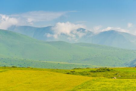 Succulent grassland meadows on a summer June day, Armenian mountainsの写真素材