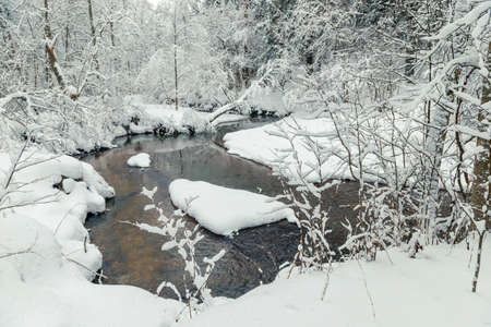 Snowy winter forest and flowing river. Scenic landscape on a winter day in the forestの写真素材