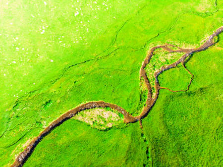 Picturesque green landscape in Armenia, scenic view on a sunny day in Juneの写真素材