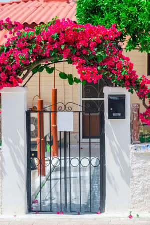 Flowers arch at the houseの写真素材