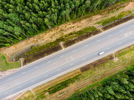 Aerial top view of a country road through a fir forest in summerの写真素材