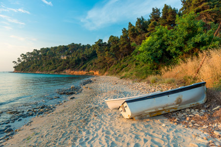 Fishing boat on the sea shoreの写真素材