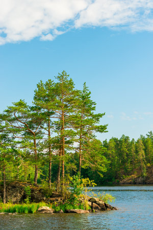 North Karelia lake, Russian wild nature. Forest growing on the stonesの写真素材