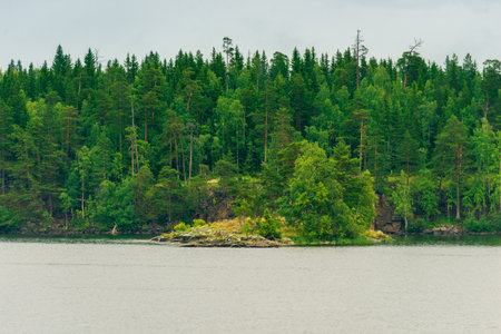 North Karelia lake, Russian wild nature. Forest growing on the stonesの写真素材