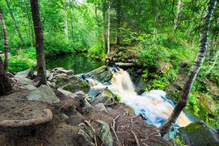 Yukankoski waterfall (White bridges) on the river Kulismayoki, Russia, Kareliaの写真素材