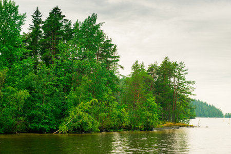 North Karelia lake, Russian wild nature. Forest growing on the stonesの写真素材