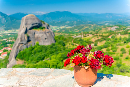 pot with red flowers on a pole against the skyの写真素材