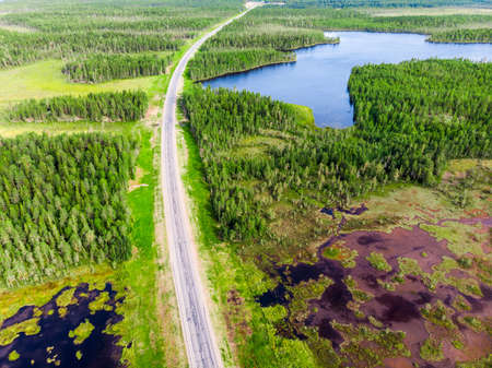 Aerial view of green pine forest and a road captured from aboveの写真素材