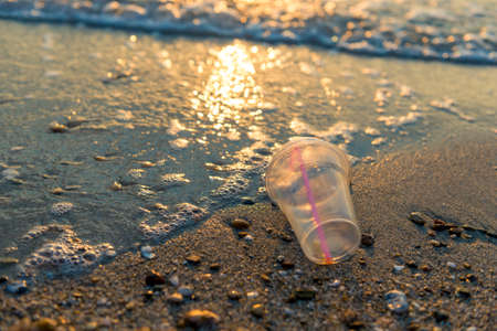 Disposable plastic glass discarded on sandy sea coast ecosystem,nature pollution
