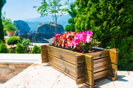 pots with beautiful flowers in the courtyard of the monasteryの写真素材