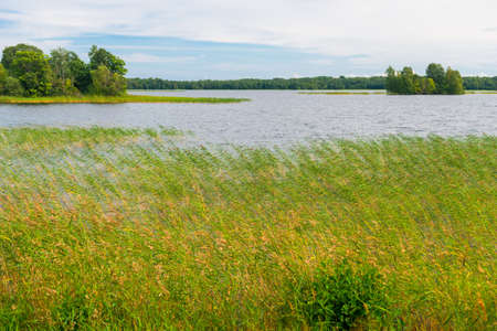 Karelia in Russia. Landscape of Lake Ladoga. Karelia Islandsの写真素材