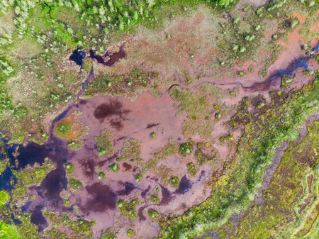 Aerial view on natural swamp from above, wild nature background - Karelia region, Russiaの写真素材