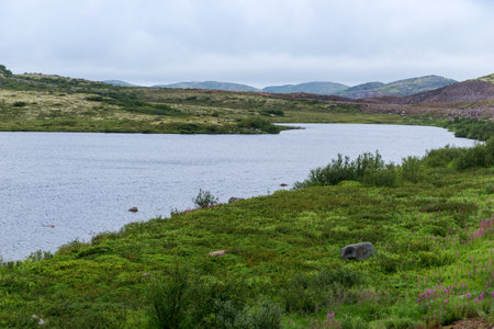 Polar landscape with granite stones and plants. North lake in the stone shoreの写真素材