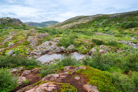 Polar landscape with granite stones and plants. North lake in the stone shoreの写真素材