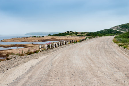Dirt road in a polar landscape with granite stones and plantsの写真素材
