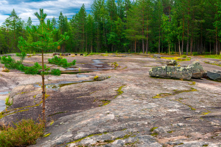 Ancient rock paintings (petroglyphs) in the Belomorsky region of Karelia. Russiaの写真素材
